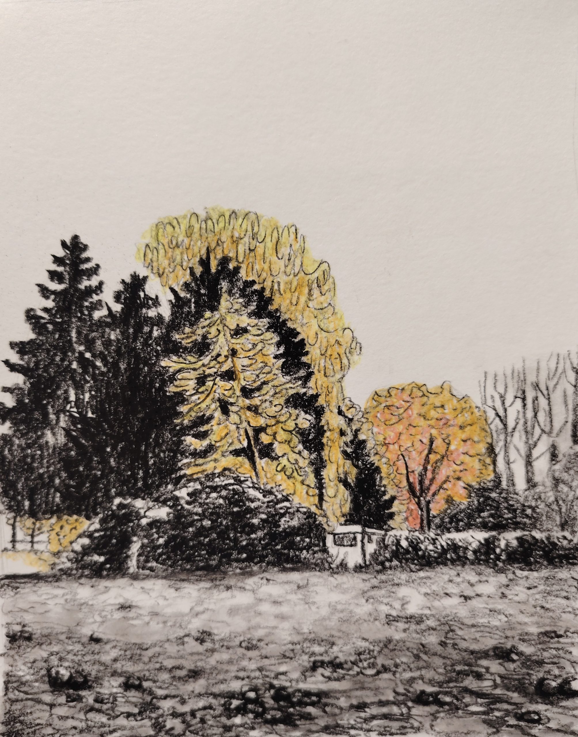 dessin pierre noire et crayons